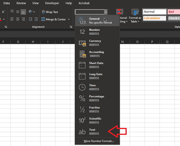 Chaging the data type in Microsoft Excel